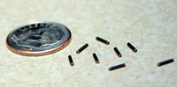 Cesium-131 seeds compared in size to a coin.