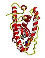 Crystal structures of human androgen receptor (hAR) and human progesterone receptor ligand-binding domains. IBET with Schering, Berlin.