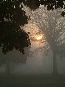 Misty Morning by dinny, stock.xchng