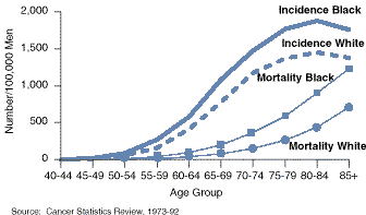 Race and Prostate Cancer Incidence and Mortality, USA